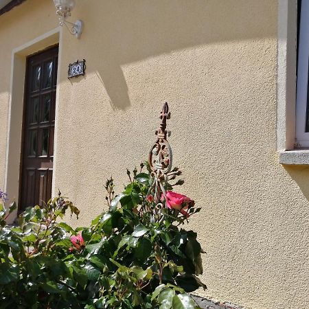 Strandhaus Mariflor Brook المظهر الخارجي الصورة
