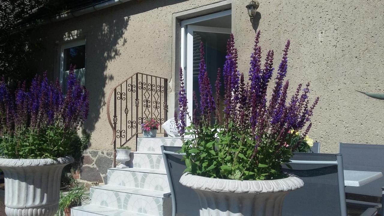 Strandhaus Mariflor Brook المظهر الخارجي الصورة