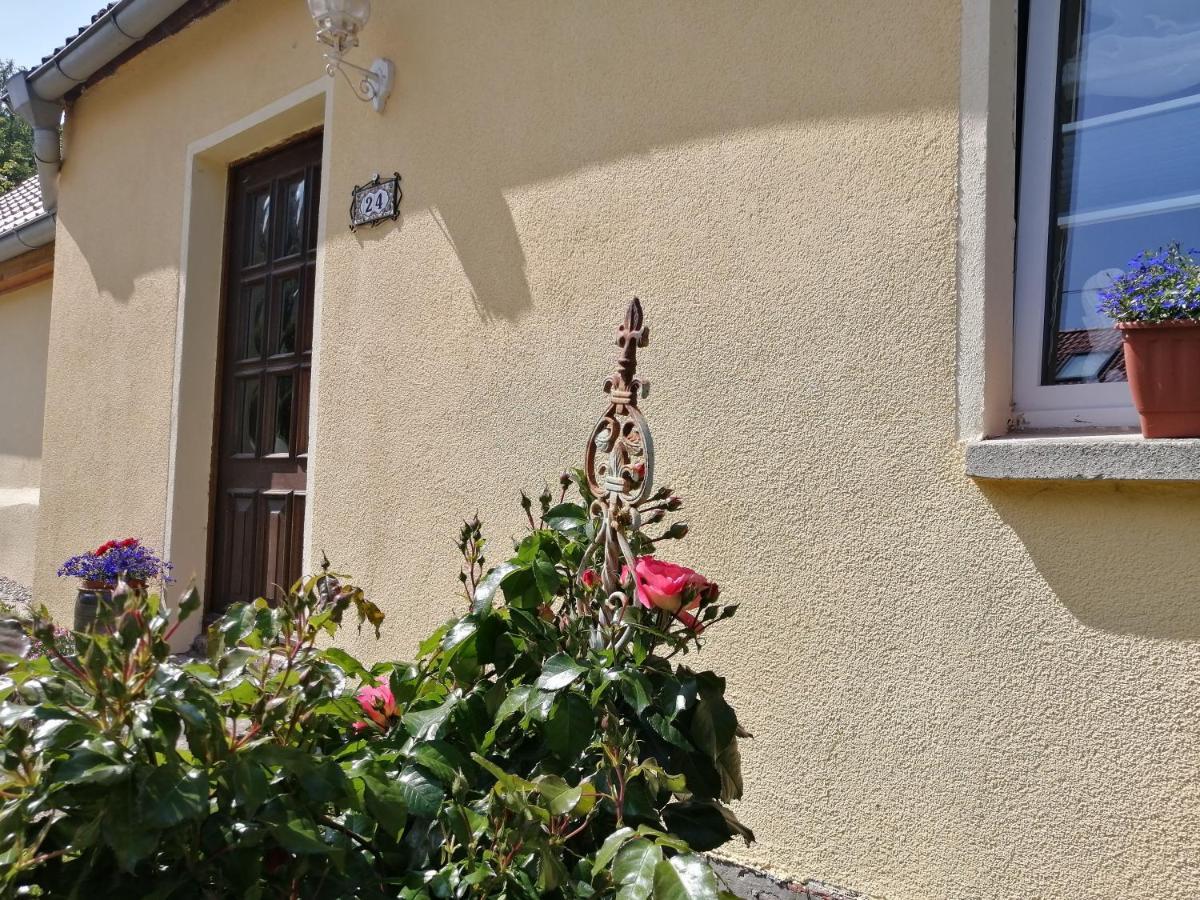 Strandhaus Mariflor Brook المظهر الخارجي الصورة