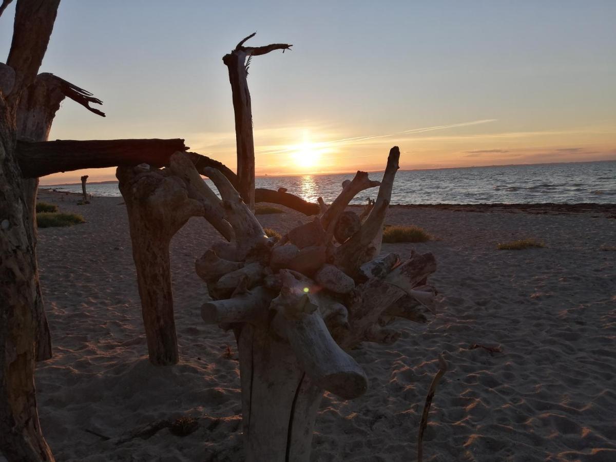 Strandhaus Mariflor Brook المظهر الخارجي الصورة